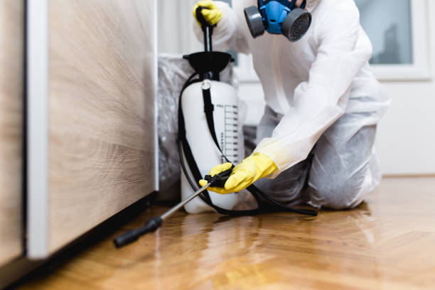 Best Pest Removal Services  in East Bronson, FL