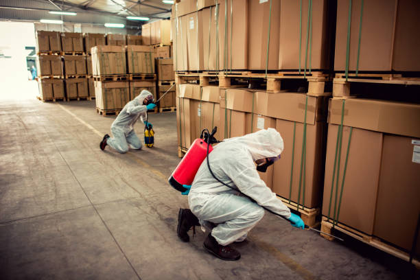 Best Affordable Pest Control Services  in East Bronson, FL