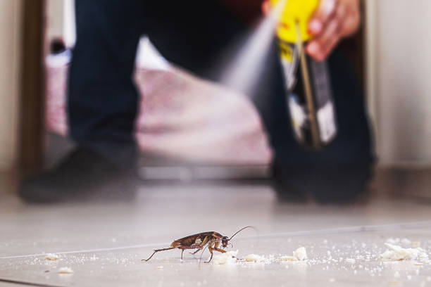 Professional Pest Control in East Bronson, FL