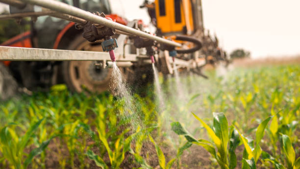 Pest Control Cost in East Bronson, FL